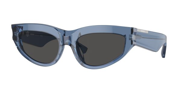Burberry 4425U Sunglasses For Cheap