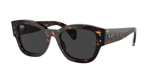 Ray-Ban Jorge 7681S Sunglasses Online - Image 4