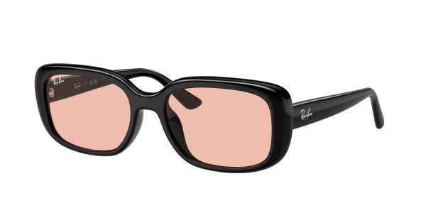 Ray-Ban 4421D Sunglasses For Cheap
