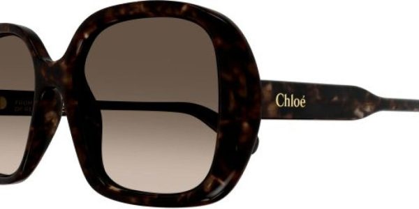 Chloe CH0222S Sunglasses Cheap - Image 3